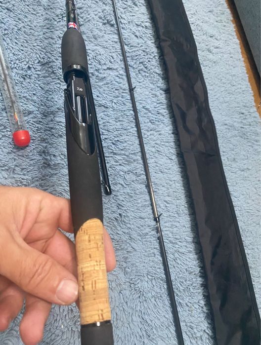 Daiwa Air Ags 10/11 ft 50gr