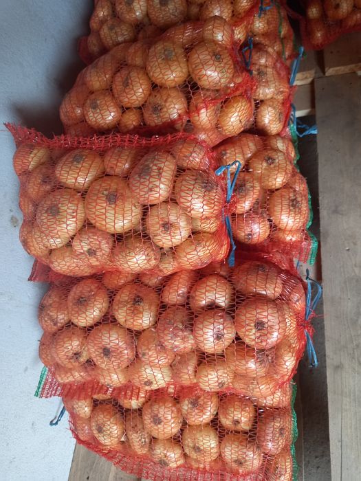 Ceapa alba românească și ceapa rosie