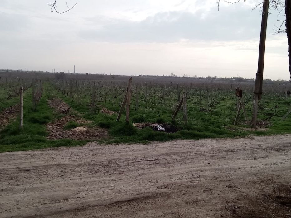 5 соток ер сотилади