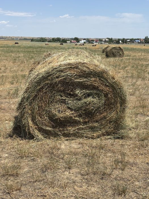 Сено в рулонах, разнотравье