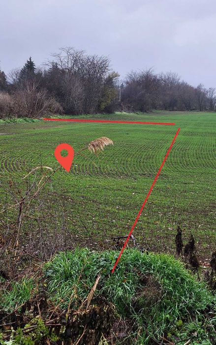 Продава се Парцел в Силистра, Север - 5000 кв.м за 18 €/кв.м - Снимка #4