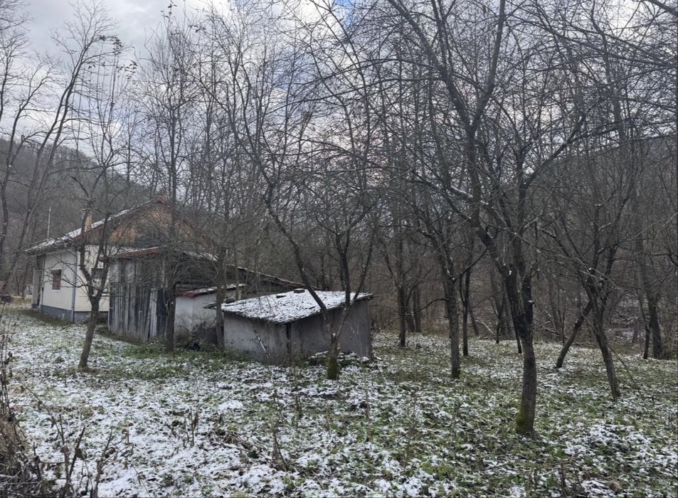Vand cabana Ocolisel, Valea Ariesului