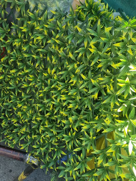 Зелёный забор suniy yashil devor премиум качество! Есозабор привезной