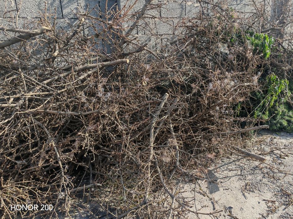 Дрова самовызов бесплатно