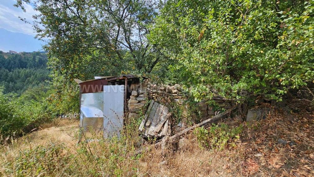 Къща в планината в с. Давидково, обл. Смолян