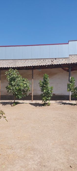 Уй-ер Белтепа Шайхонтохур 3сотих сотилади. Янги Тошми.