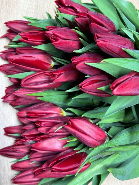 Корпаративные букеты из тюльпан