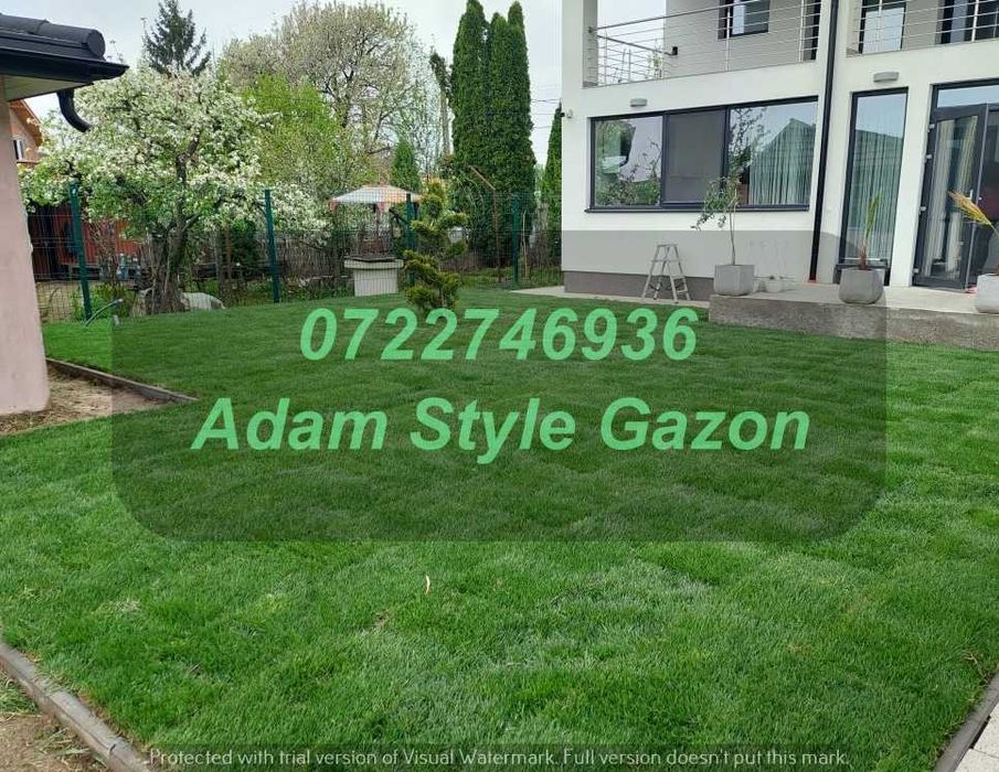 Gazon Natural pentru Vile și Pensiuni