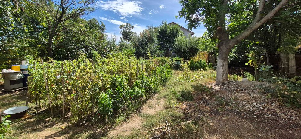 Casă de vânzare