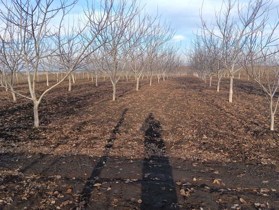 Продава се Земеделски имот в Генерал Тошево -  кв.м за 4 €/дка - Снимка #5