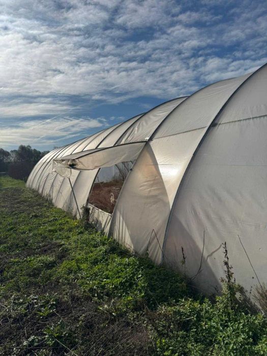 Vând 2 Solare legume montate in Târgu Jiu