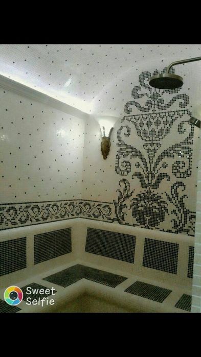Mayolika i mosaic (AI mosaic)
