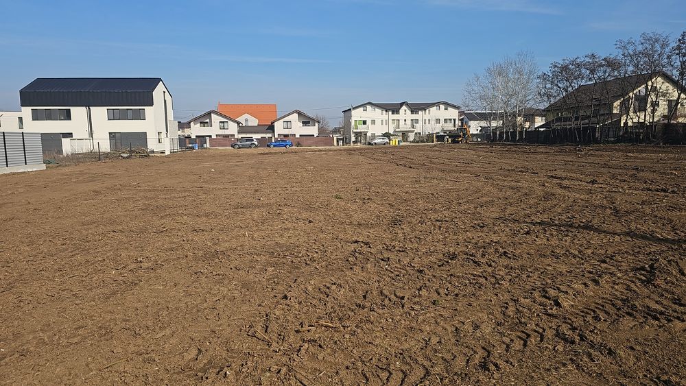 Defrișare / Curățare loc / Demolări.