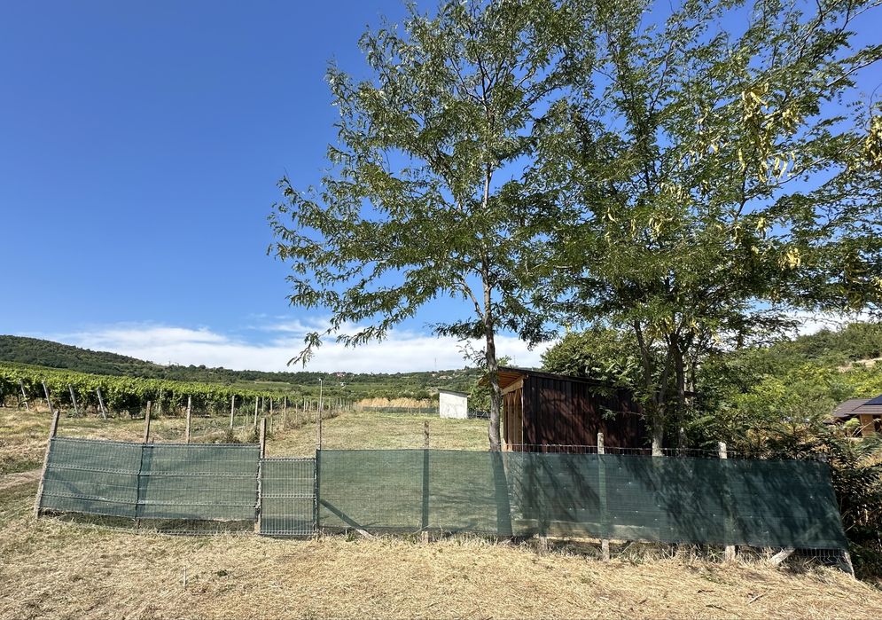 Vând teren intravilan în Huși (suprafață intreagă sau 2 loturi)