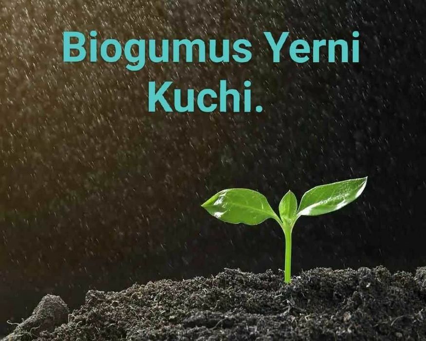 BIOGUMUS va chuvalchanglar sotiladi