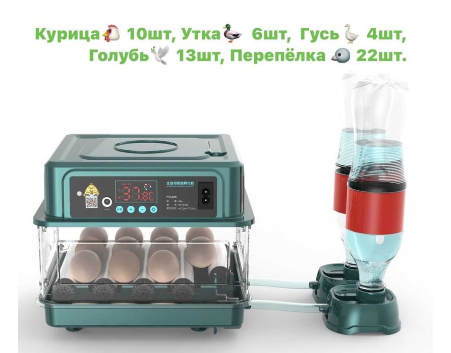 Инкубатор Для яиц