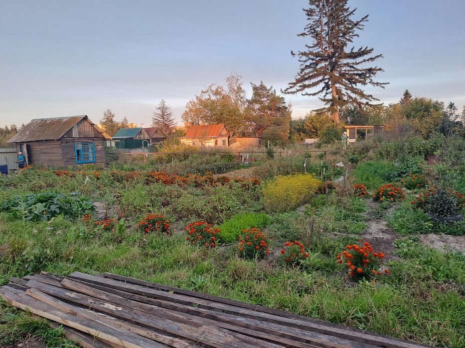 Продам дачу СТ Кировец-2