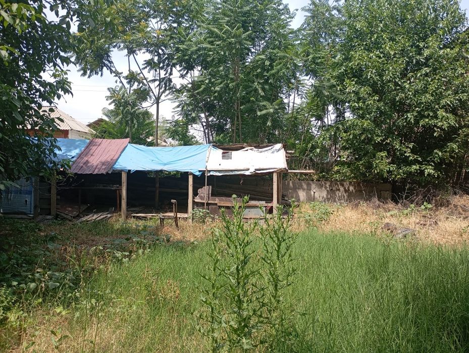 Үй курувчиларга ер,13 сотих,фасад 40 метр,Бордонкул,1 сотих 13 500 у.е