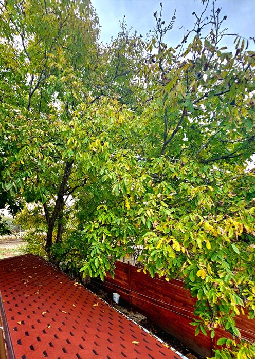 Продава се Къща в с. Кривина, Област София-град - 200 кв.м за 1243 €/кв.м - Снимка #14