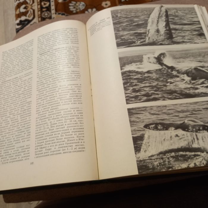 Книги типа энциклопедия