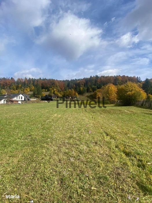 Teren intravilan 4.100 mp de vânzare | Voroneț | Zonă deosebită