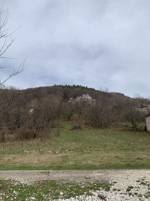 Продава се Парцел в с. Ямна, Област София-област - 828 кв.м за 14 €/кв.м - Снимка #5