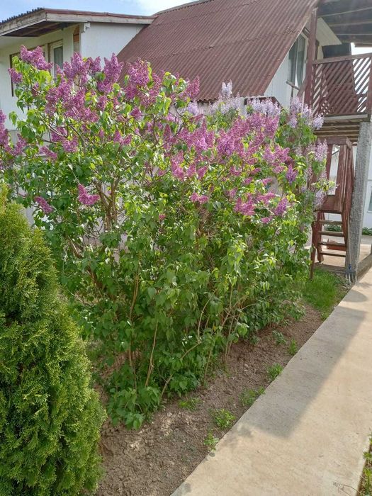 CASĂ DE VÂNZARE In comuna Tutora la doar 13 km de Iaşi