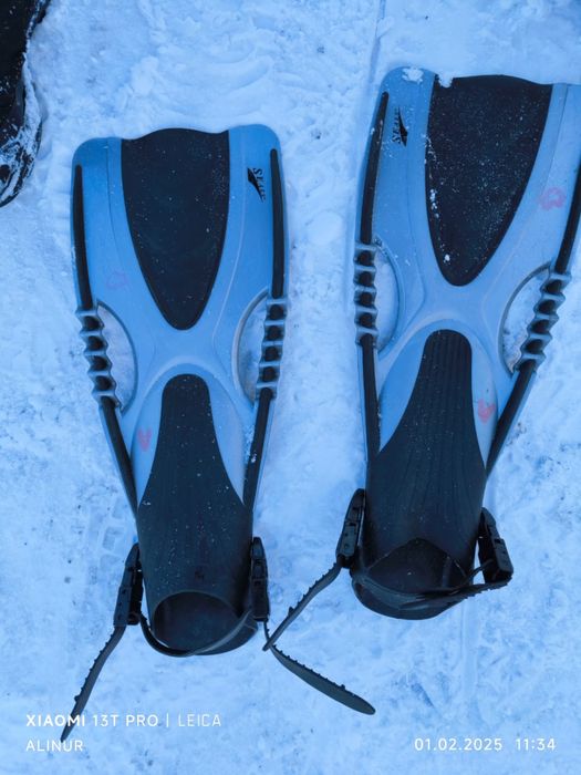 Ласты для плавание