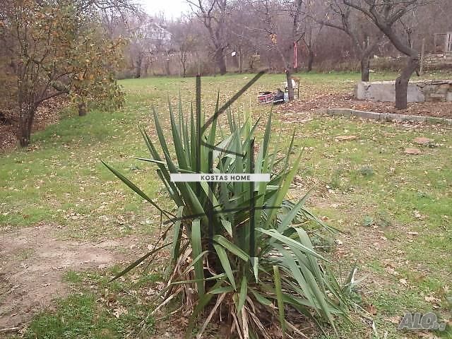 Продава се Парцел в Варна, м-т Ракитника - 821 кв.м за 74 €/кв.м - Снимка #3