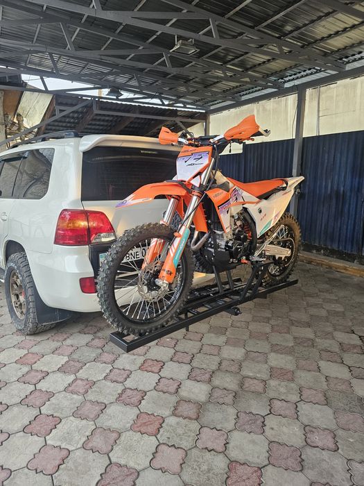 Новый вид мотохвоста К26