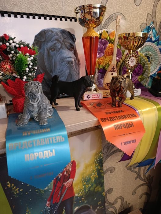 Продажа щенков шарпей