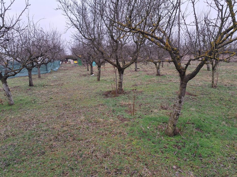 Teren intravilan 3000 mp/Cadastru