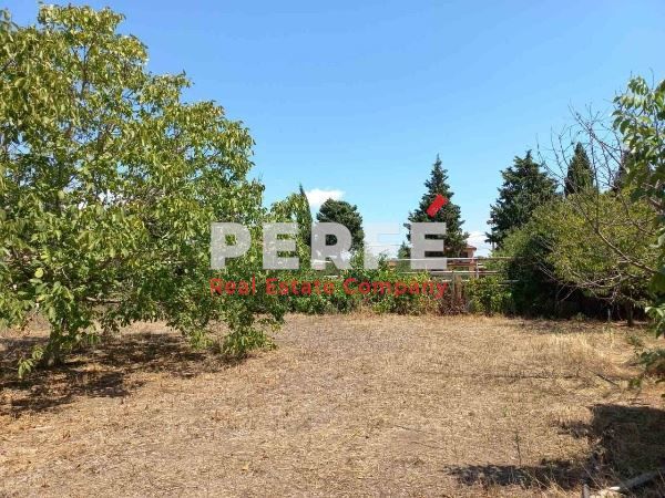 Продава се Къща в Камено - 160 кв.м за 588 €/кв.м - Снимка #9