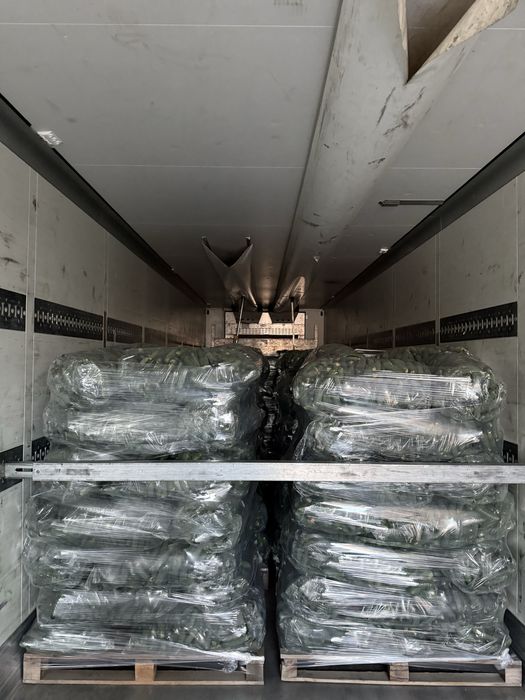 Castraveți/ ogorki/ огірки