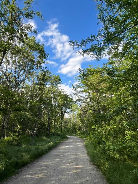 Comana, Jud Giurgiu, Str. Bujorului, 1262 mp, langa Parcul Natural