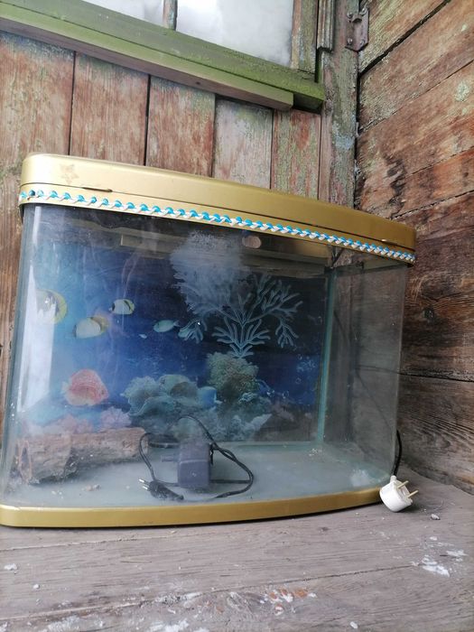 Продам акквариум