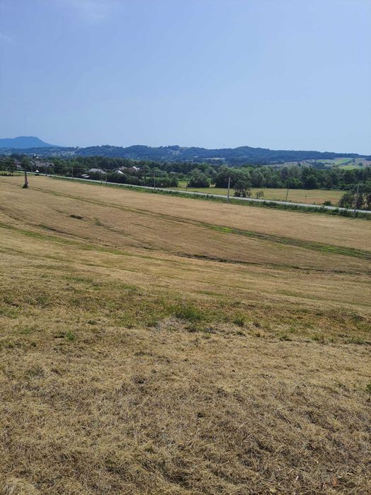 Teren intra si extravilan in Vad, Copalnic-Mănăștur, Maramures