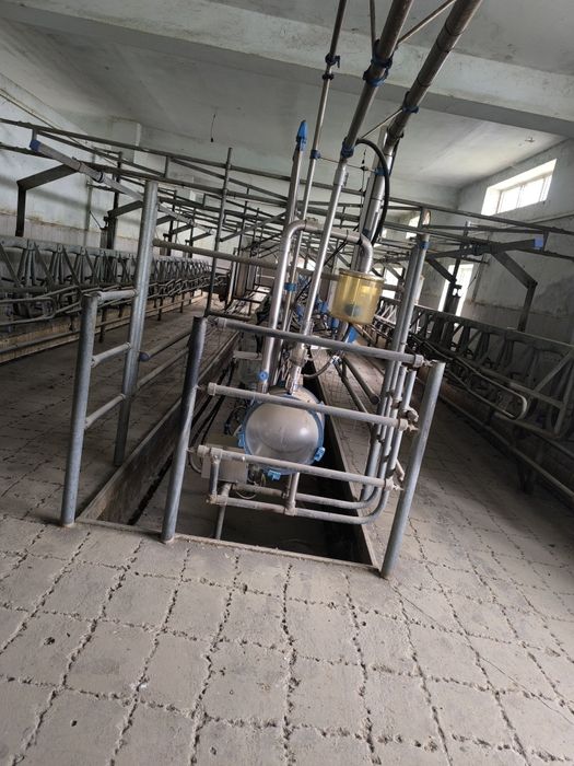 Sut sogʻadgan aparat holat zoʻr