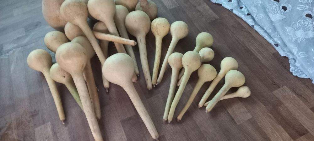 Продам ковщики (тыквянка)