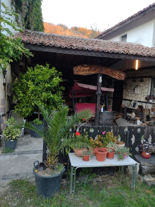 Дава се под наем Къща в с. Тученица, Област Плевен - 240 кв.м за 331.5 € - Снимка #4