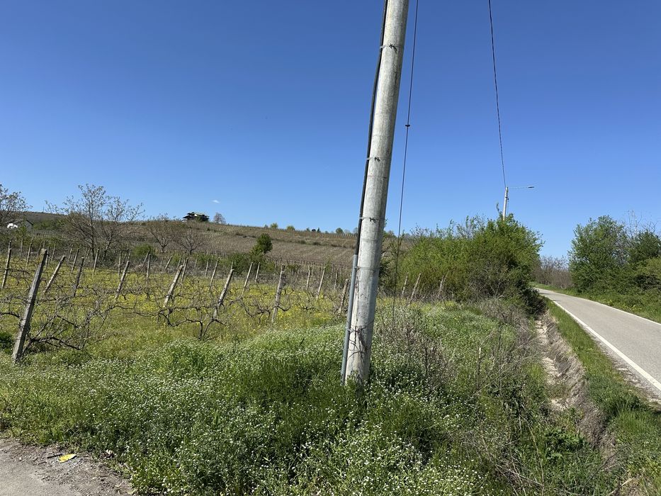 Teren intravilan de vanzare