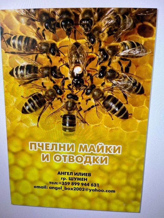 Биологични Пчелни майки и отводки от регистриран производител.