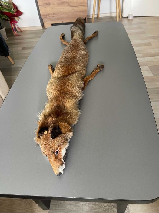 Естествена кожа от лисица (цяла).