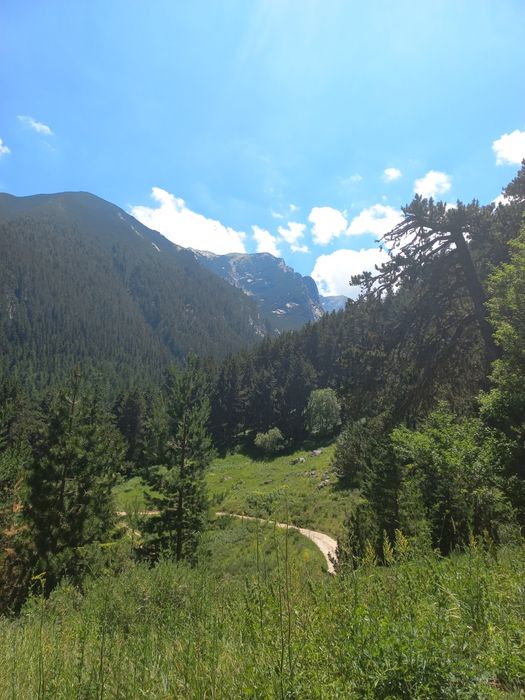 Топ парцел Тетевен- Рибарица