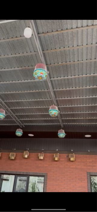 продаются перепелки, итальянские