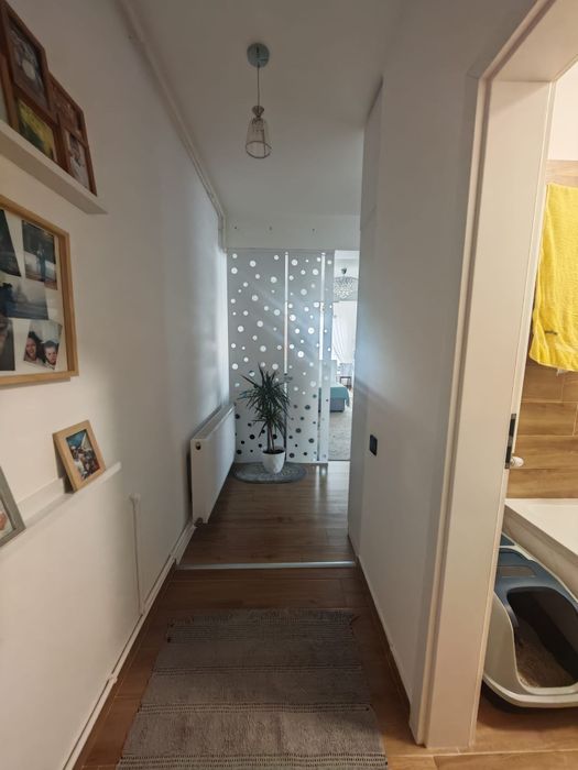 Apartament 3 camere