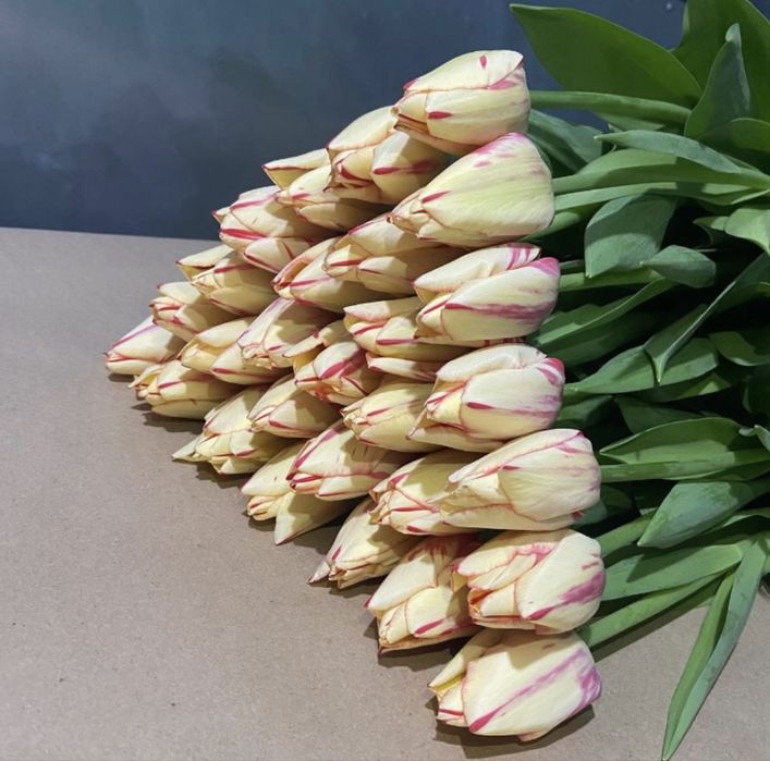 Предзаказ на тюльпаны