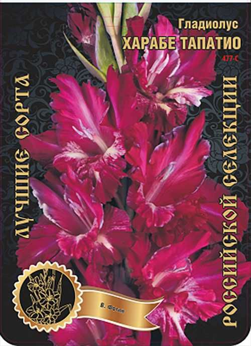 Гладиолусы луковицы