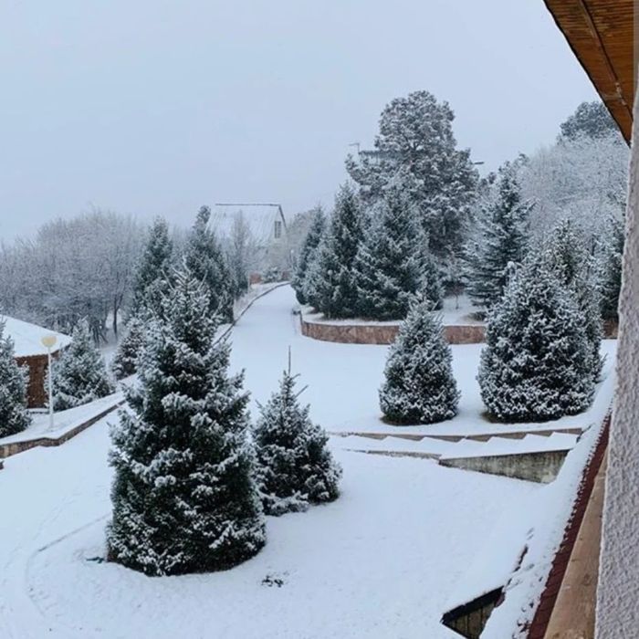 Такси. Минивен. Трансфер