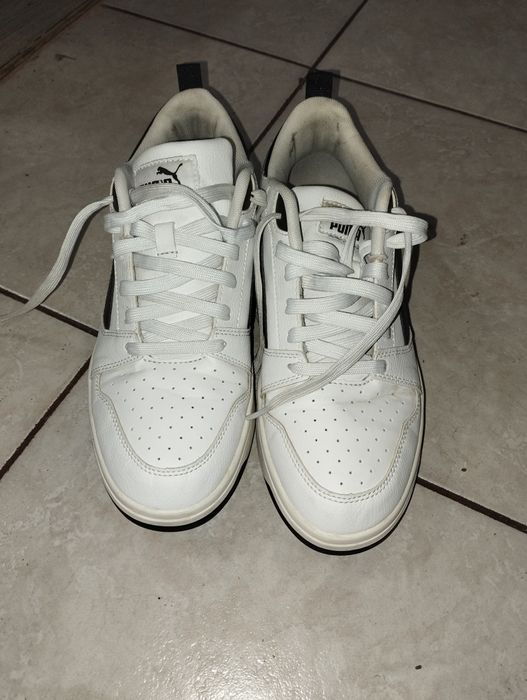 Paucii puma albi